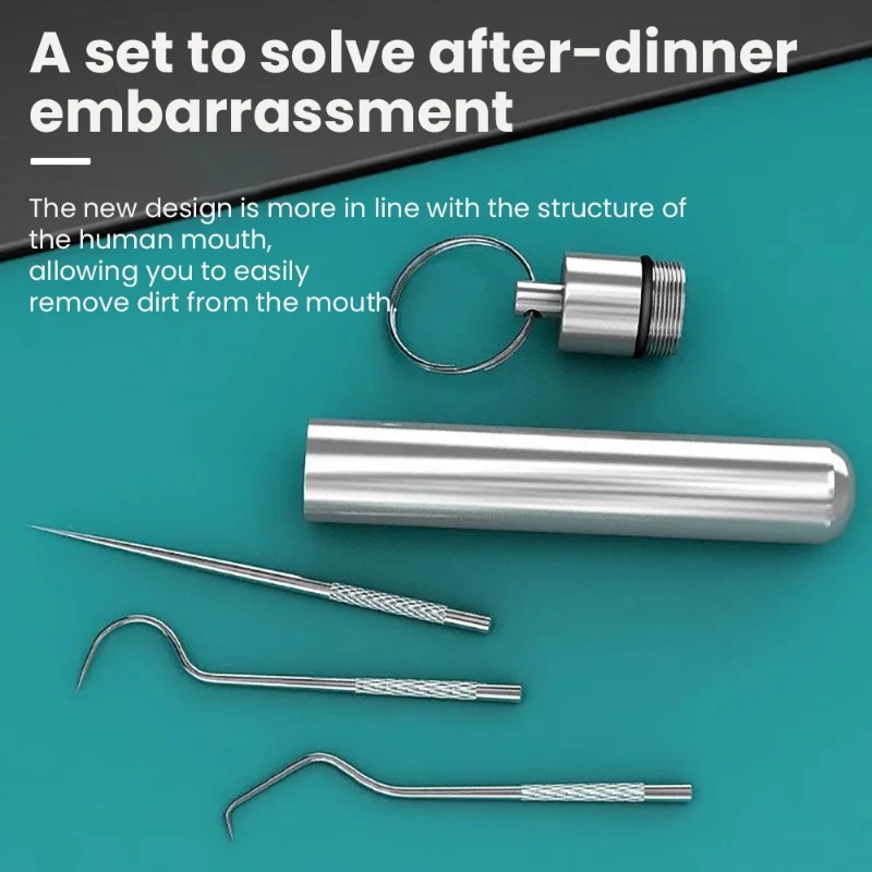 Stainless Steel Toothpick Port - Lock Picking Set ulasan dan harga
