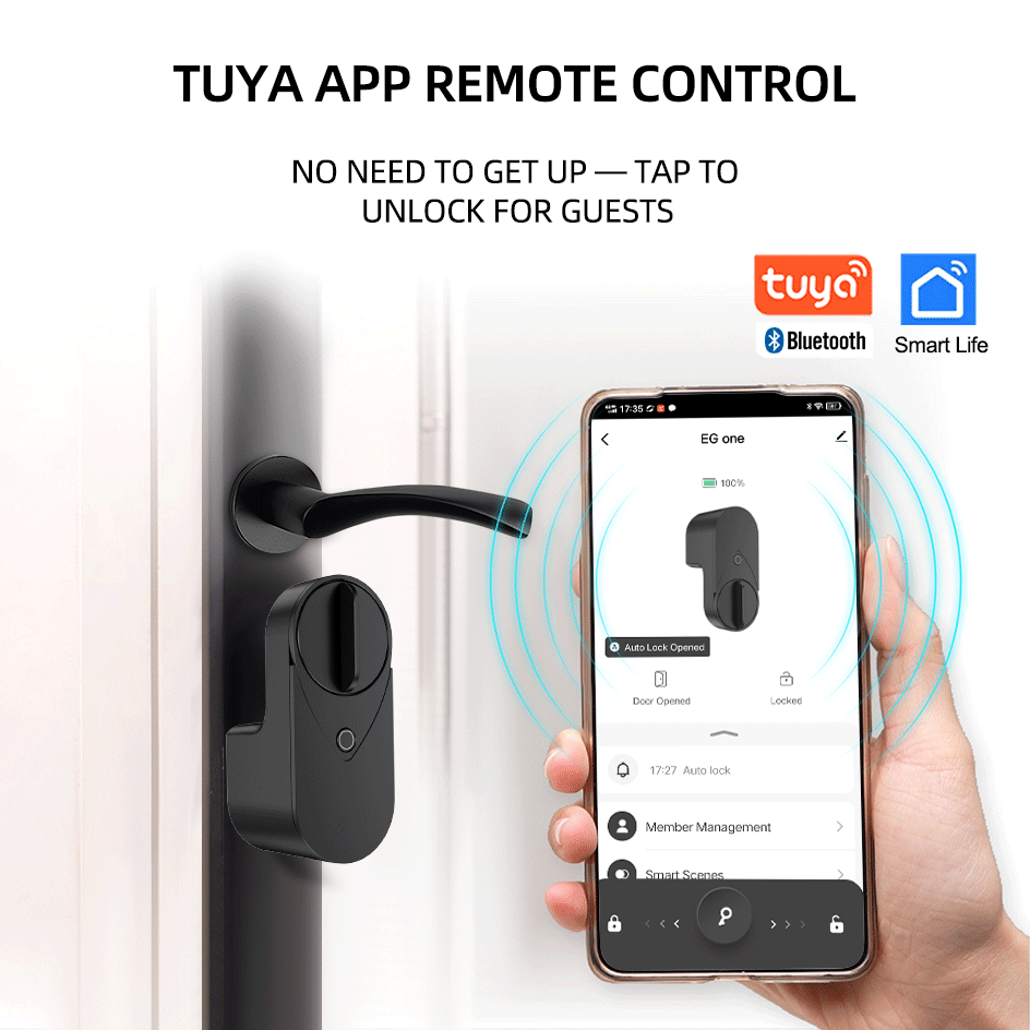 RAYKUBE EG One Tuya BLE Smart  - Home Security Keypad ulasan dan harga