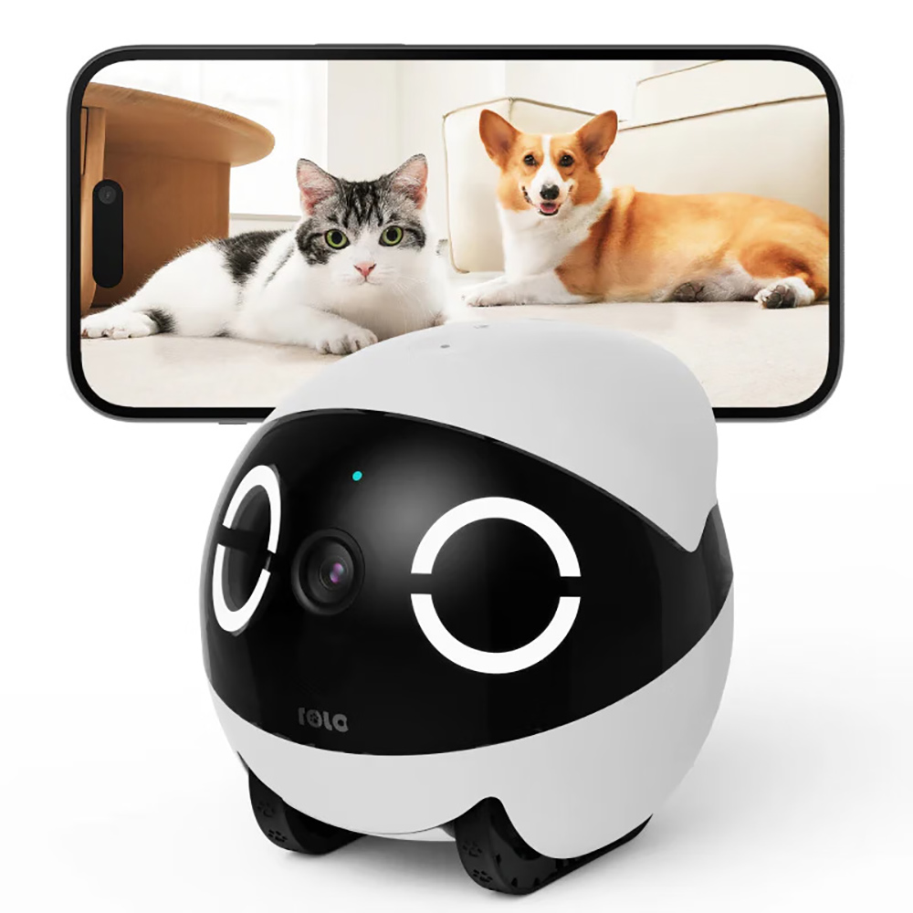 Home Security Pet Tumbler Desi - Home Security Robots ulasan dan harga